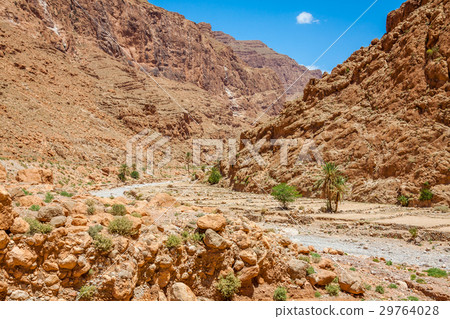 Todgha Gorge, a canyon in the High Atlas Todgha Gorge, a canyon in the High Atlas 29764028