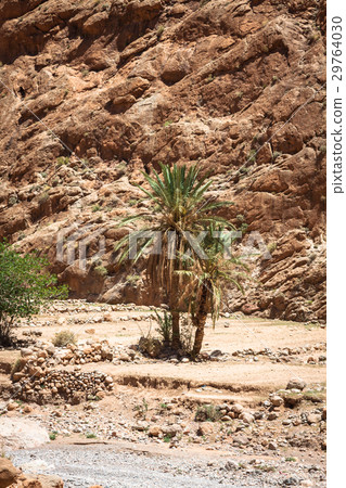 Todgha Gorge, a canyon in the High Atlas  29764030