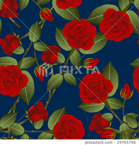 Red Rose - Rosa on Indigo Blue Background. 29765798