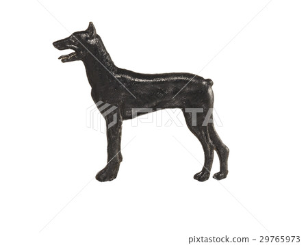 Black dog figure on white background, Doberman 29765973