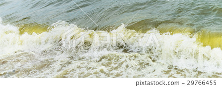 Sea wave with beach, Algal bloom in sea Sea wave with beach, Algal bloom in sea 29766455