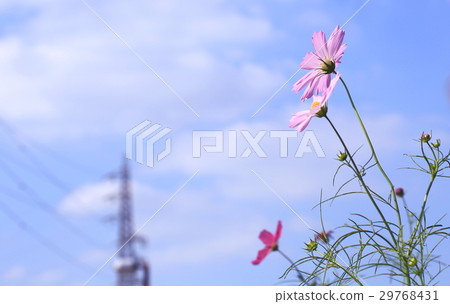 宇宙和鋼塔 29768431