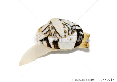 朝里 朝里 29769917