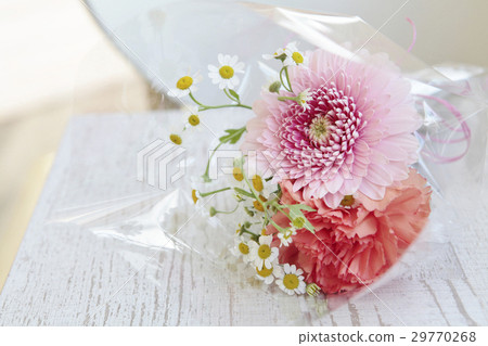 花禮物非洲菊康乃馨Matrikalia 29770268