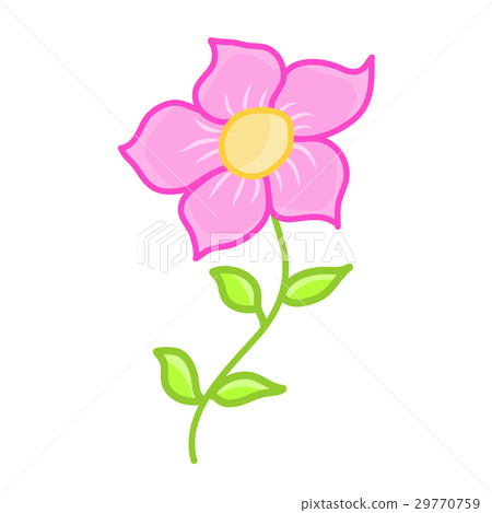 插图素材: pink flower isolated illustration