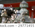 Hakubai 29771455