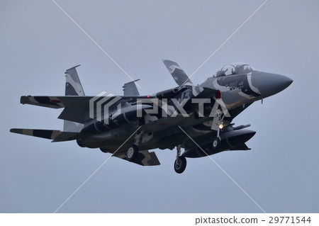 Air Self Defense Force fighter aggressor landing 29771544