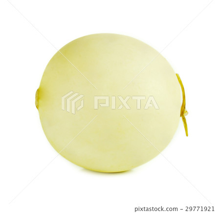 cantaloupe isolated on white background cantaloupe isolated on white background 29771921