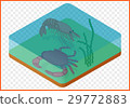 Crab shrimp isometric 29772883