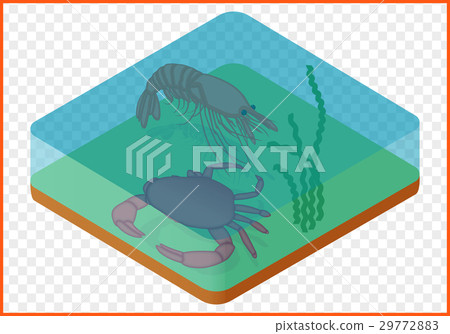 Crab shrimp isometric Crab shrimp isometric 29772883