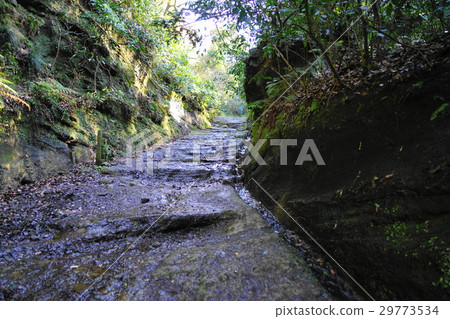 March Kamakura 181 Asani Naruto通過 March Kamakura 181 Asani Naruto通過 29773534