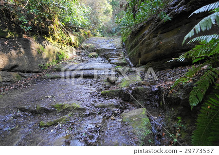 March Kamakura 183 Asani Nagisa通過 March Kamakura 183 Asani Nagisa通過 29773537