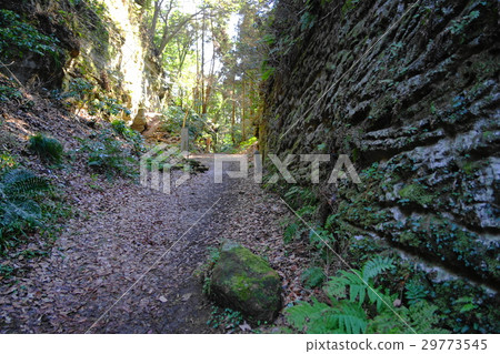 March Kamakura 187 Asani Nagisa通過 March Kamakura 187 Asani Nagisa通過 29773545