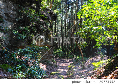 March Kamakura 193 Asani Natiru through 29773552