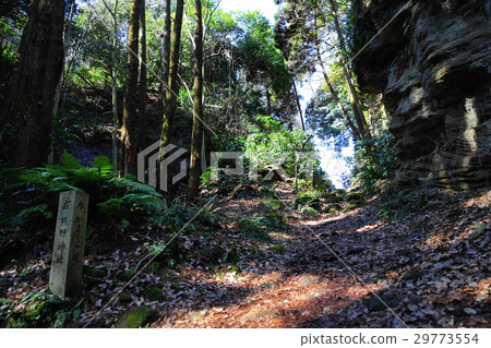 March Kamakura 195 Asani Natiru通過 29773554