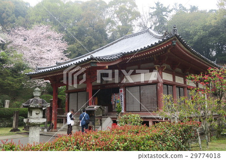 [88 places in Shikoku] No. 69 Kanonji Main Hall Spring, Kanonji City, Kagawa Prefecture 29774018