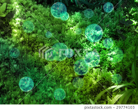 癒合苔（幻覺） 29774103