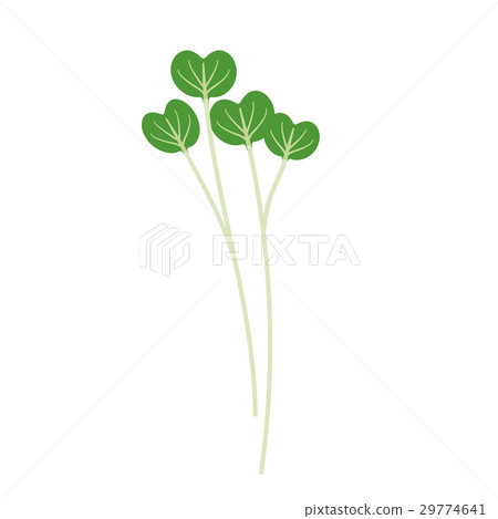 Kaiware [Foodstuff series] 29774641