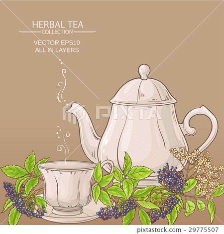 cup of elderberry tea and teapot 29775507