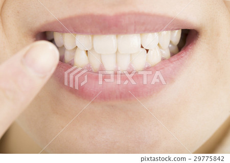 美白白牙無任何身體部位 29775842