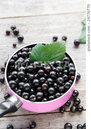 black currant berries 29776770