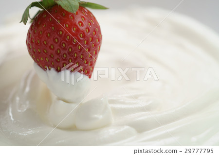 dipping fresh strawberry into cream dipping fresh strawberry into cream 29777795