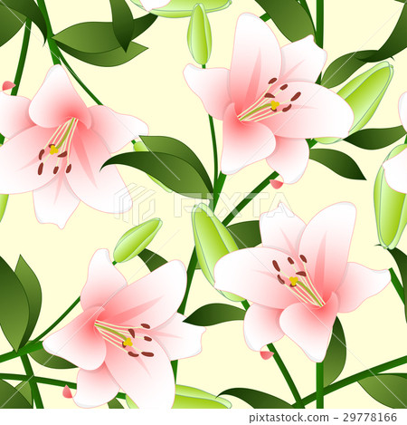 Lilium candidum, Pink Lily on Beige Background 29778166