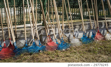 new red and blue rakes for leaves in a row 29778245