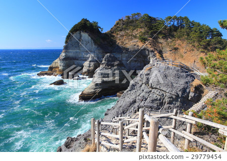 鐵匠海灘（伊豆）的黑頭 29779454