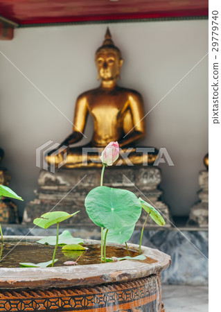 Lotus flower with buddah statue background Lotus flower with buddah statue background 29779740
