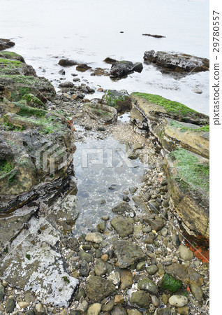 Tide puddle 29780557
