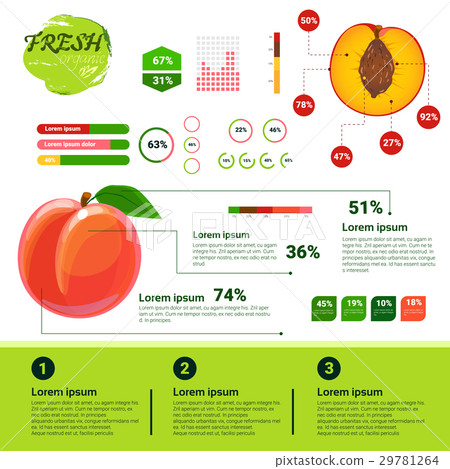 Fresh Organic Infographics Natural Fruits Growth - Stock Illustration ...