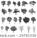 Set of abstract  black trees 29781530