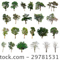 Set of abstract trees 29781531