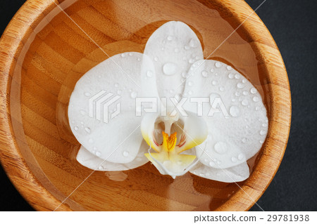 white orchid floating in wooden bowl white orchid floating in wooden bowl 29781938