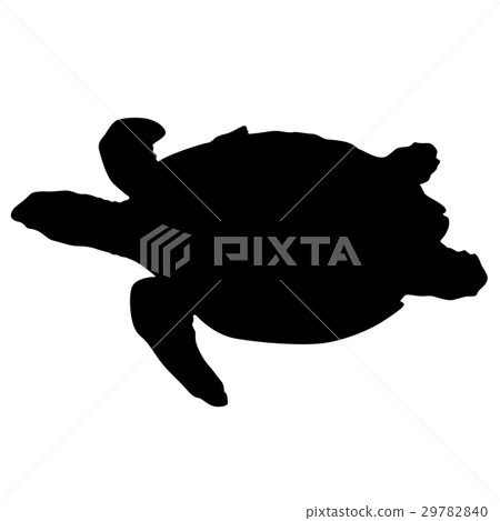Silhouette beautiful sea turtle on a white  29782840