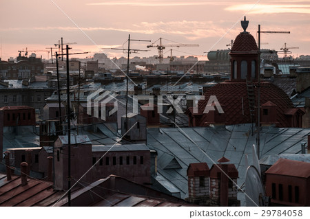 View of Saint Petersburg roofs 29784058