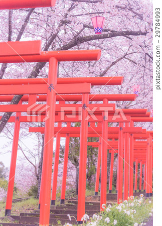 Maru Takinari Shrine 29784993