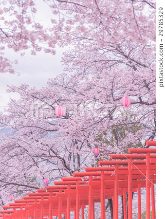 Maru Takinari Shrine 29785329