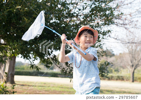 Boys capturing insects Summer vacation Boys capturing insects Summer vacation 29785607