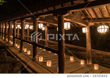 Nara Hase  -  ji新年走廊觀音的燈會 29785643