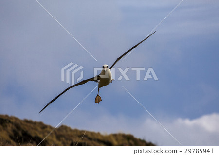 A flying flying flying sky A flying flying flying sky 29785941