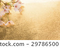 Cherry blossoms and gold paper background 29786500