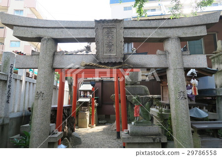 Sanmonmatsu Maigami Sanmonmatsu Maigami 29786558