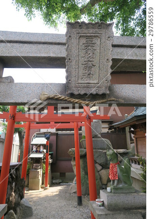 Sanmonmatsu Maigami Sanmonmatsu Maigami 29786559