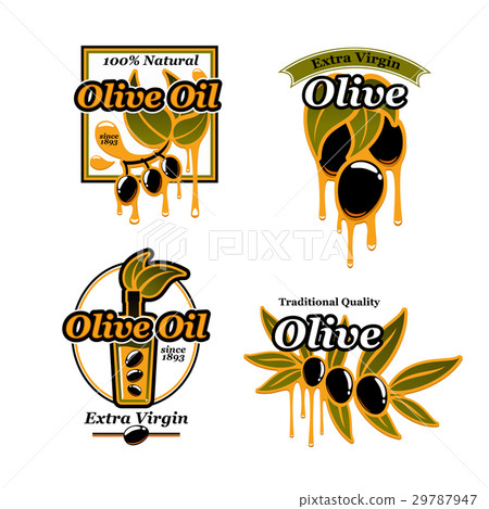 Olive oil vector icons and fresh green olives 29787947