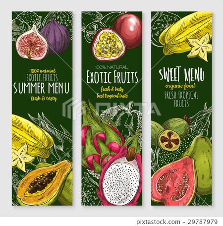 Vector banners set of exotic tropical fresh fruits Vector banners set of exotic tropical fresh fruits 29787979