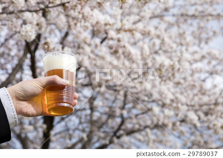 烤麵包配櫻桃花啤酒 29789037