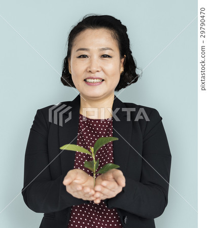 Asian Business Woman Seedling Asian Business Woman Seedling 29790470