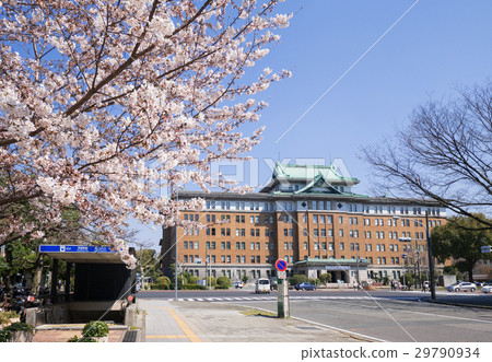 Aichi prefectural government office and cherry tree Nagoya municipal subway No. 5 entrance Aichi prefectural government office and cherry tree Nagoya municipal subway No. 5 entrance 29790934